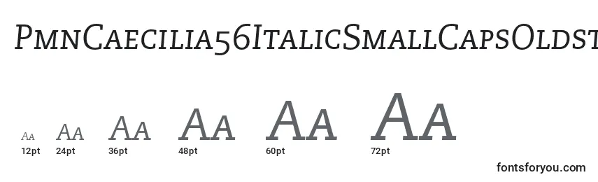 Размеры шрифта PmnCaecilia56ItalicSmallCapsOldstyleFigures