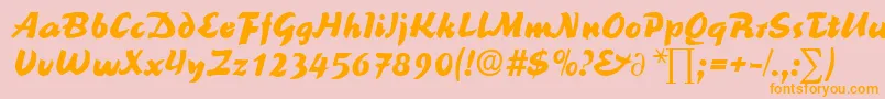 ReinerblackDb Font – Orange Fonts on Pink Background