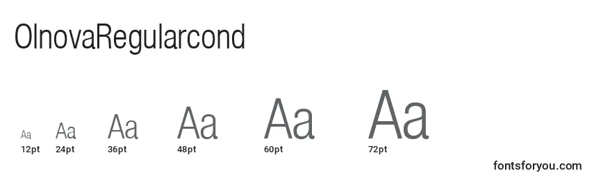 OlnovaRegularcond Font Sizes
