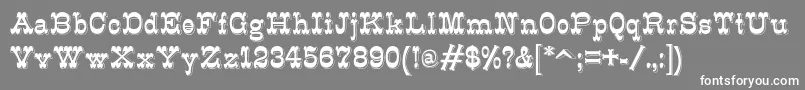 フォントK22Eclair – 灰色の背景に白い文字