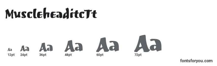 MuscleheaditcTt Font Sizes