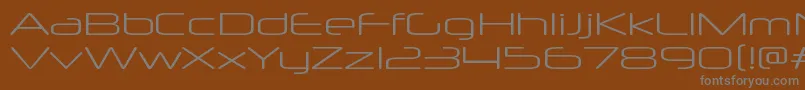 NeuropolxxpltRegular Font – Gray Fonts on Brown Background