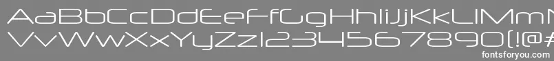 NeuropolxxpltRegular Font – White Fonts on Gray Background