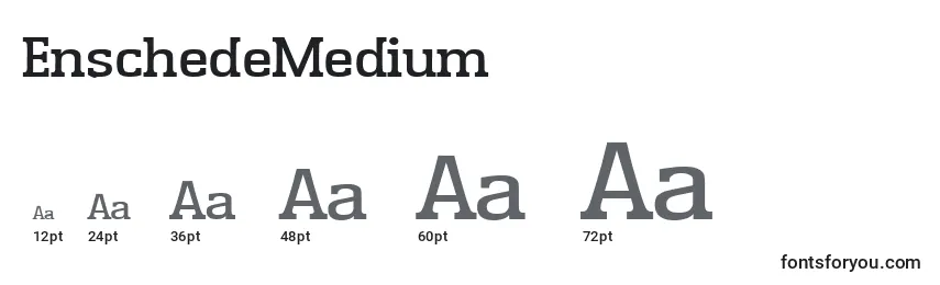 EnschedeMedium Font Sizes