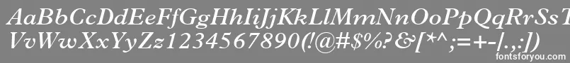 PlantinMtSemiBoldItalic-Schriftart – Weiße Schriften auf grauem Hintergrund