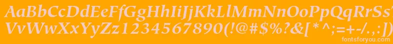 HiroshigestdBolditalic Font – Pink Fonts on Orange Background