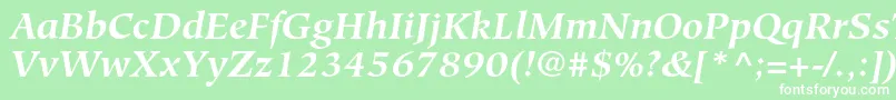 HiroshigestdBolditalic Font – White Fonts on Green Background