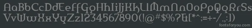 フォントAmerikaPro – 黒い背景に灰色の文字