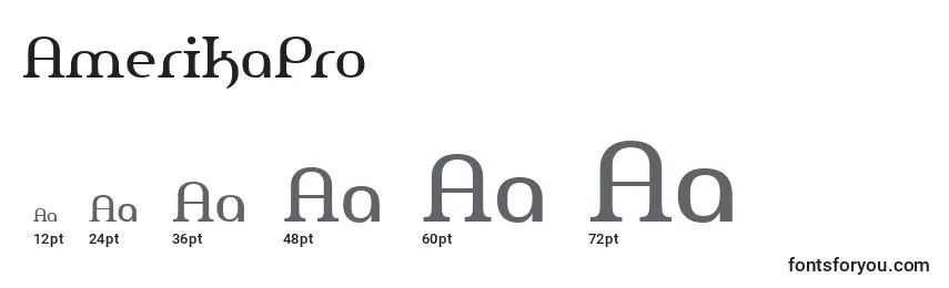 Размеры шрифта AmerikaPro