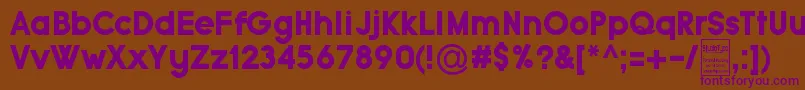 TypoGroteskBlackDemo Font – Purple Fonts on Brown Background