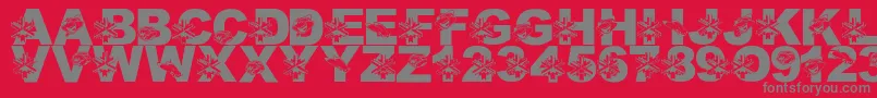 LmsUtahWelcomesTheOlympics Font – Gray Fonts on Red Background