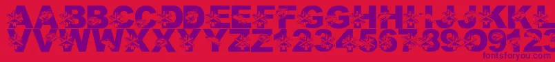 Czcionka LmsUtahWelcomesTheOlympics – fioletowe czcionki na czerwonym tle
