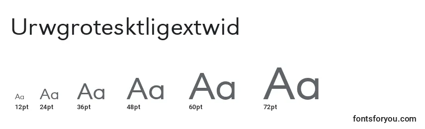 Размеры шрифта Urwgrotesktligextwid