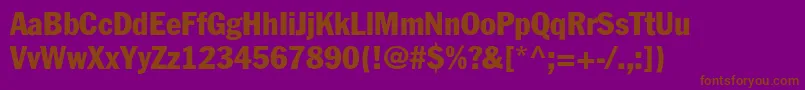 ElutheraCondensed Font – Brown Fonts on Purple Background