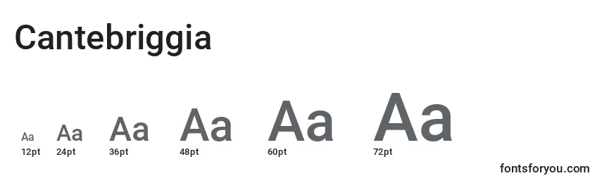 Cantebriggia Font Sizes