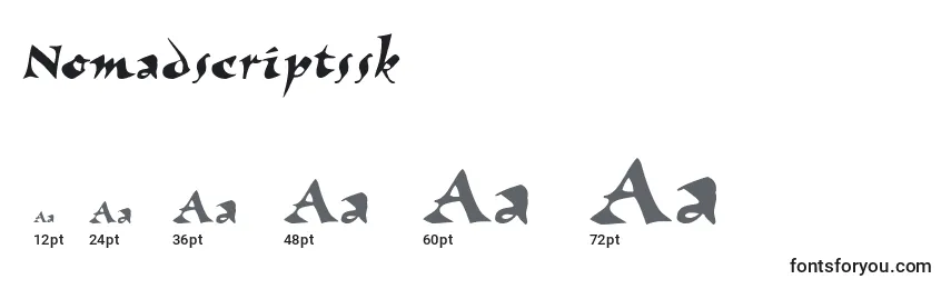 Размеры шрифта Nomadscriptssk
