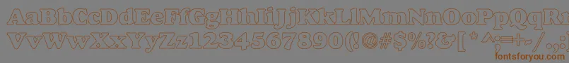Bush-Schriftart – Braune Schriften auf grauem Hintergrund