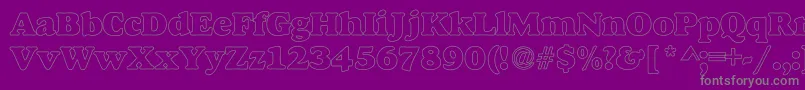 Bush Font – Gray Fonts on Purple Background