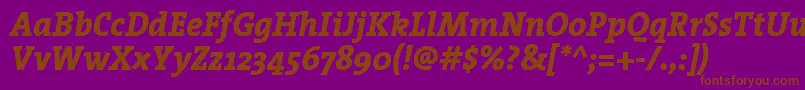 TheserifextraboldItalic Font – Brown Fonts on Purple Background