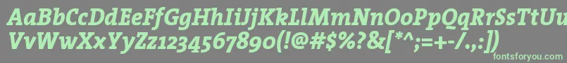 TheserifextraboldItalic Font – Green Fonts on Gray Background