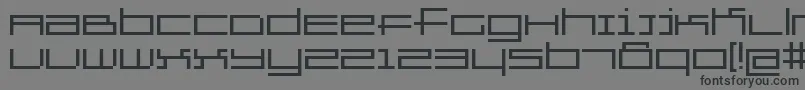 Gridexercise Font – Black Fonts on Gray Background