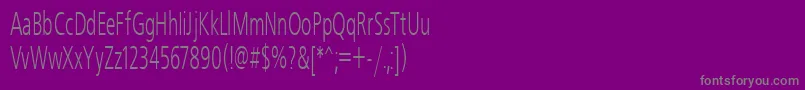 Freeset55n Font – Gray Fonts on Purple Background
