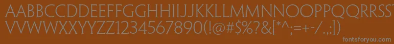 PenumbrahalfserifstdLight Font – Gray Fonts on Brown Background