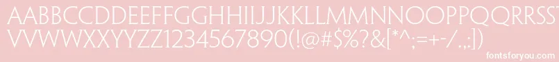 PenumbrahalfserifstdLight Font – White Fonts on Pink Background