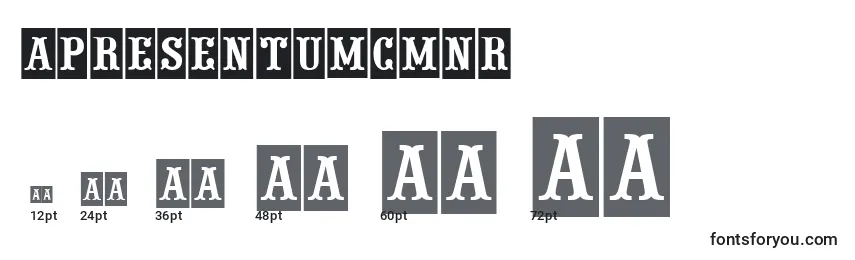 APresentumcmnr Font Sizes