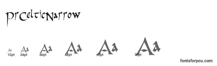 PrCelticNarrow Font Sizes