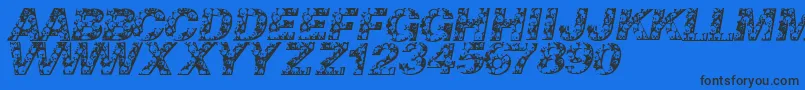 Skullvetica Font – Black Fonts on Blue Background