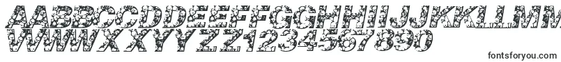 Шрифт Skullvetica – декоративные шрифты