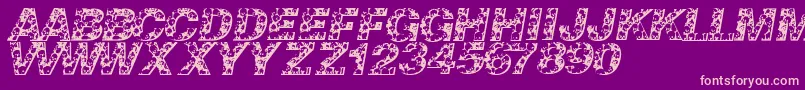 Skullvetica Font – Pink Fonts on Purple Background
