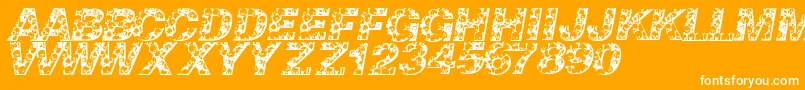Skullvetica-Schriftart – Weiße Schriften auf orangefarbenem Hintergrund