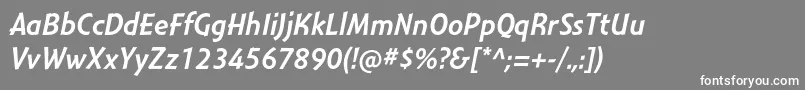 MontaraItalic Font – White Fonts on Gray Background