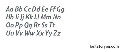 Обзор шрифта MontaraItalic