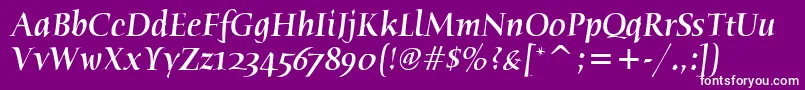 HumanaSerifMdItcTtMedita Font – White Fonts on Purple Background