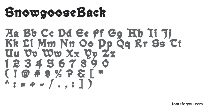 Schriftart SnowgooseBack – Alphabet, Zahlen, spezielle Symbole