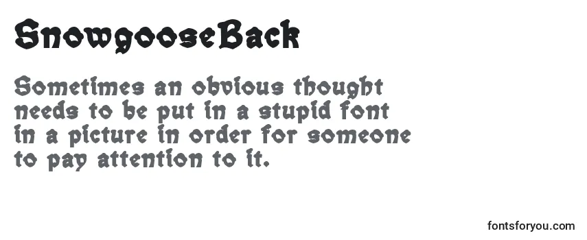 Шрифт SnowgooseBack