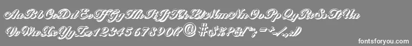 BallantinesshadowHeavyRegular Font – White Fonts on Gray Background