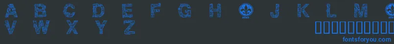 CfmotherboarddemoRegular Font – Blue Fonts on Black Background