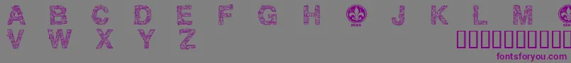 CfmotherboarddemoRegular Font – Purple Fonts on Gray Background