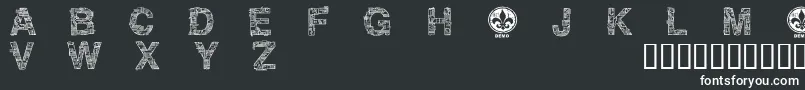 フォントCfmotherboarddemoRegular – 白い文字