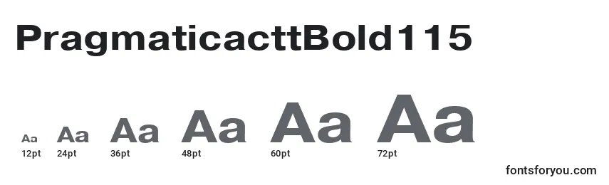 PragmaticacttBold115 Font Sizes