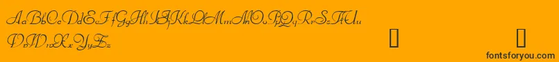 Bienville Font – Black Fonts on Orange Background