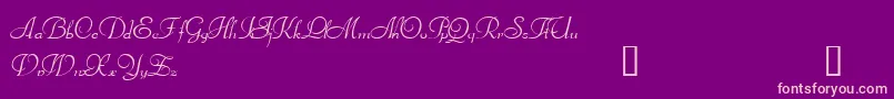 Bienville Font – Pink Fonts on Purple Background