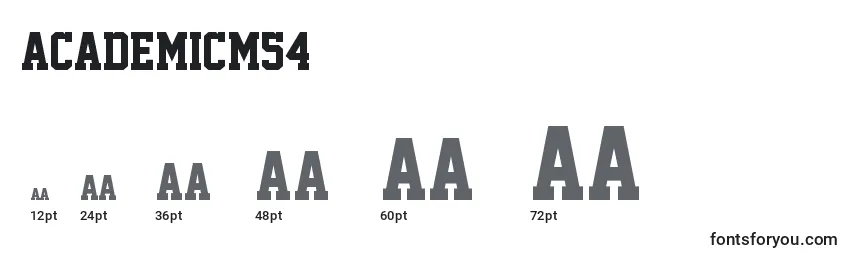 AcademicM54 Font Sizes