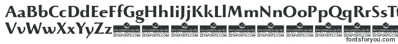 BeatrixantiquaBoldTrial Font – Fonts for Adobe Reader