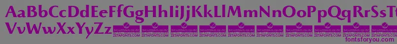 BeatrixantiquaBoldTrial Font – Purple Fonts on Gray Background