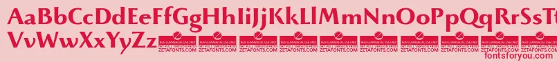 BeatrixantiquaBoldTrial Font – Red Fonts on Pink Background